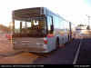 DSCI0005flygbussarna.JPG (68104 bytes)