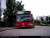 DSCI0058swebus.JPG (94625 bytes)