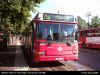 DSCI0285swebus.JPG (114804 bytes)