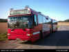 DSCI0318swebus.JPG (88530 bytes)