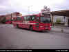 DSCI0006busslink4399.JPG (86697 bytes)