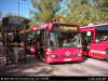 DSCI0015busslink7302.JPG (137898 bytes)